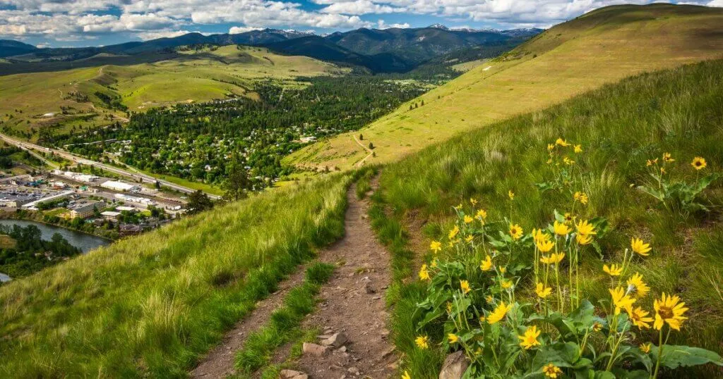 Dirt trail winding up a grassy hillside with yellow wildflowers, overlooking a valley town and distant mountains under a cloudy sky.