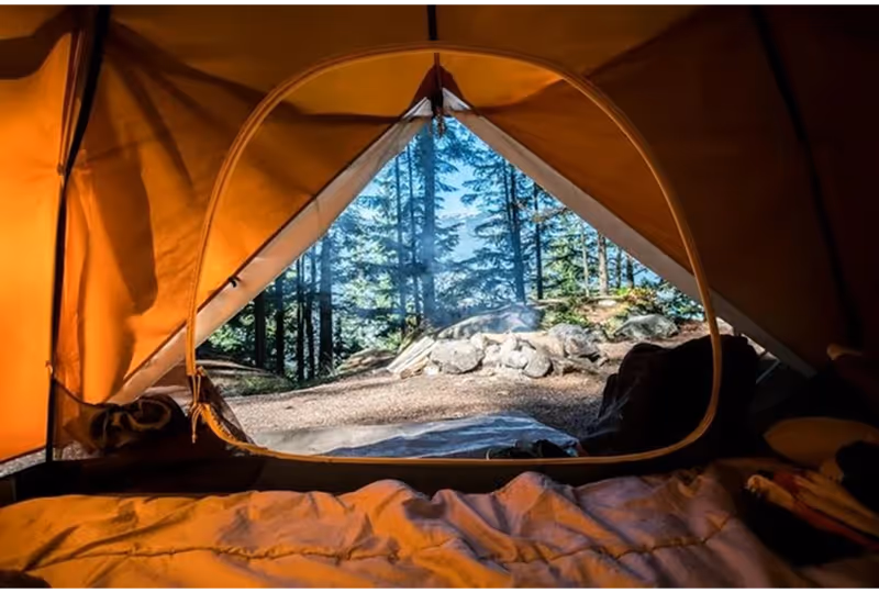 View from inside a tent looking out at a forest with tall trees and a stone fire pit with smoke rising.